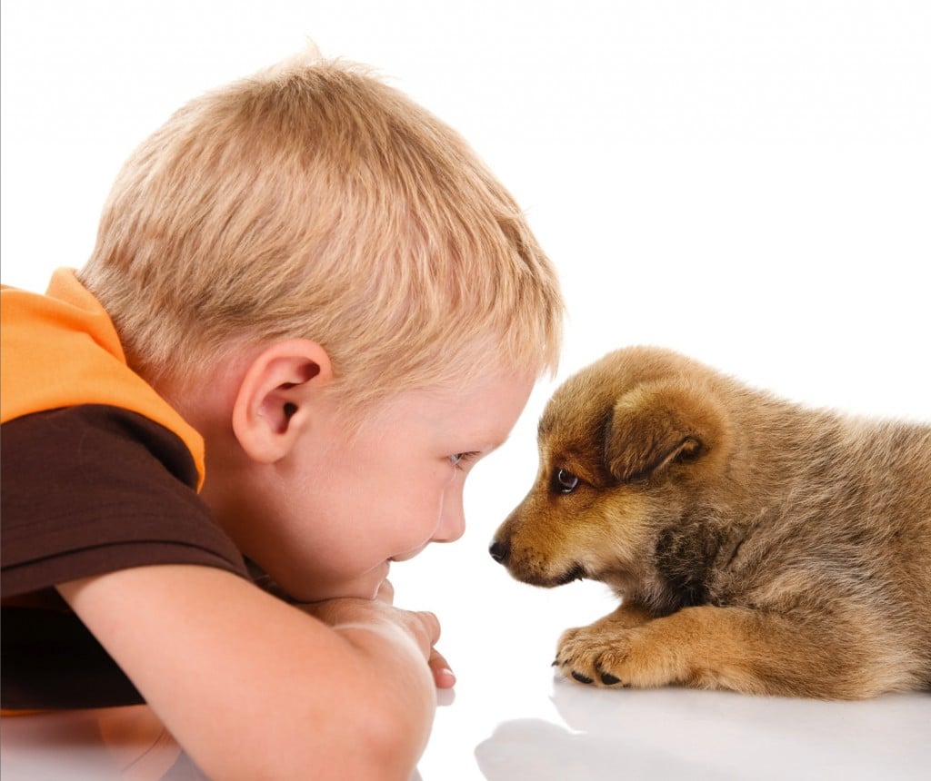 Interaction Enfants Chien Signes à Surveiller Oven Baked Tradition 6602